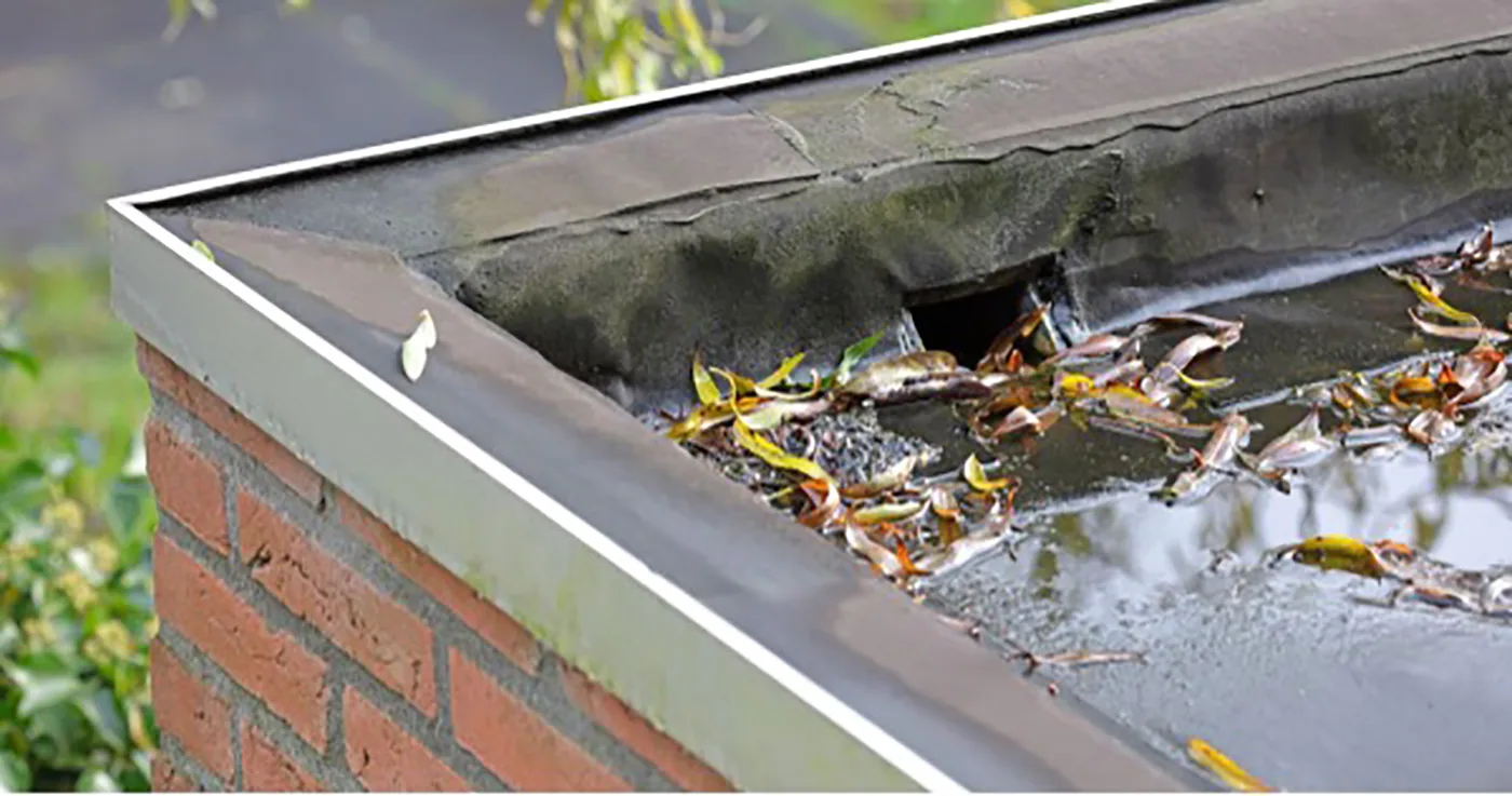 Ponding water at a roof drain Ponding water at a roof drain